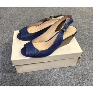 BCBGeneration Women’s 6.5M Blue Snake Print Peep Toe Ankle Strap Wedge Sandles